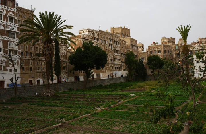 https://antiquitiescoalition.org/wp-content/uploads/2019/03/Alex-Potter-After-image-of-Old-Sanaa-in-Yemen-1.jpg